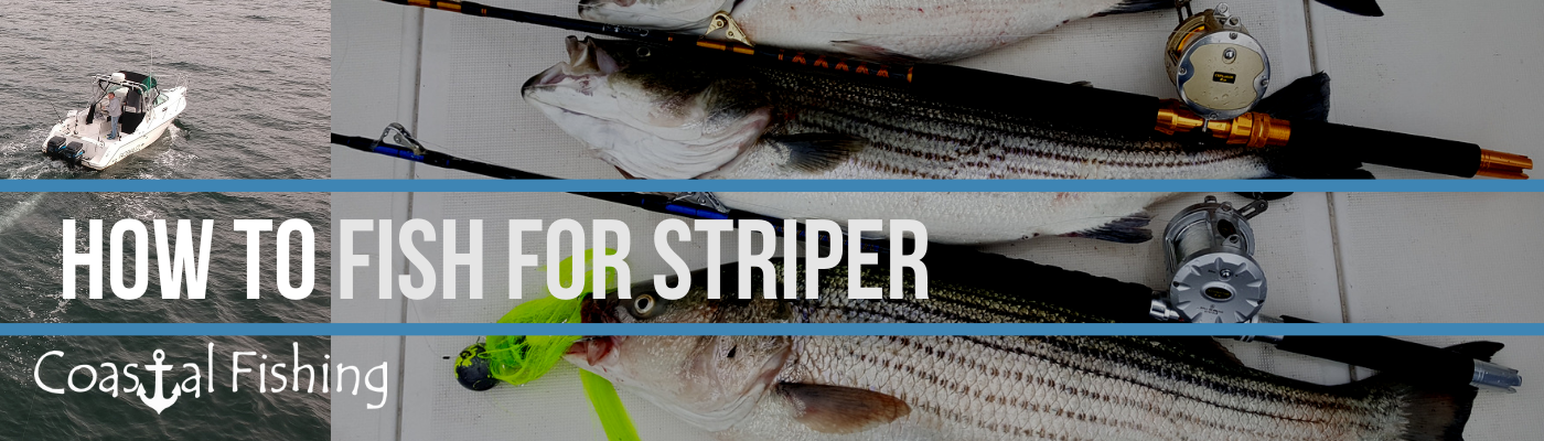 Metal Lures for Striped Bass Fishing
