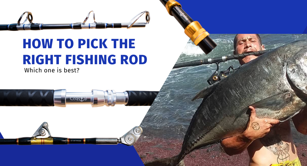 Anglers ResourceHow To Choose The Best Fishing Rod Blanks