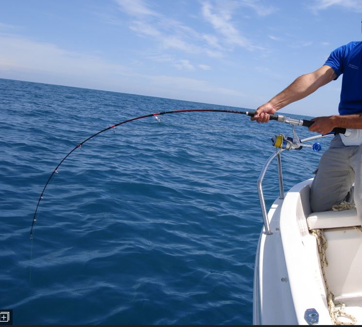 The Best Vertical Jig for Saltwater Fishing - Ocean Adiel