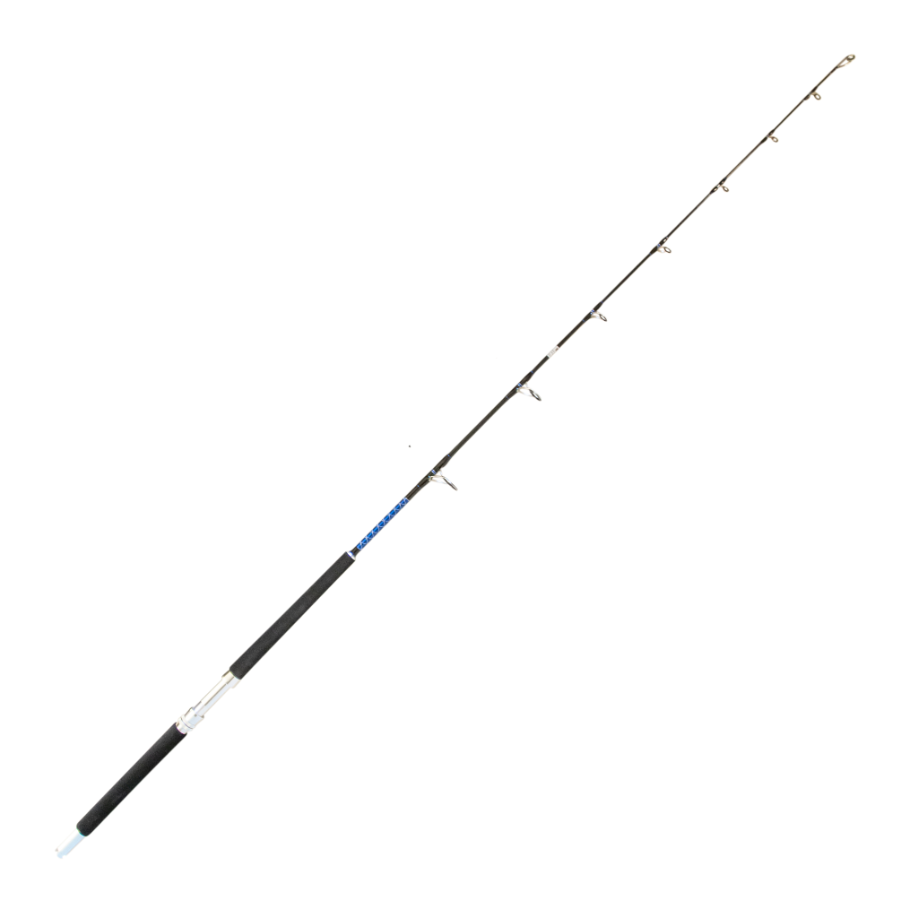 italica Trident Beach Fishing Rod 4.50 m 50-100 g : : Sports &  Outdoors