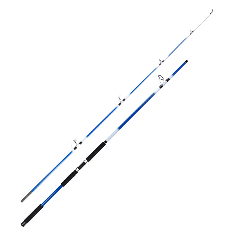 Surf Fishing Pole