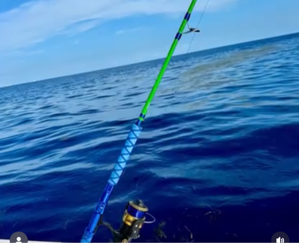 Green and Blue Fishing rod