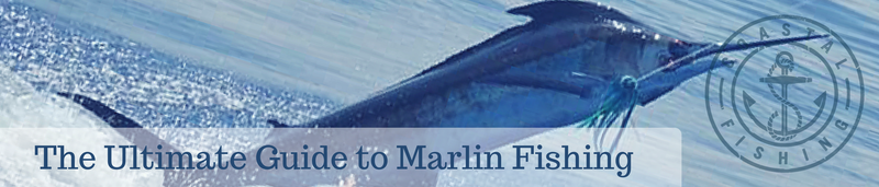 The Ultimate Guide to Marlin Fishing