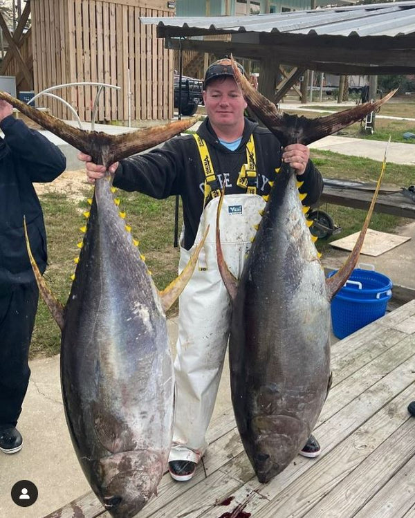 Yellowfin Tuna Fishing: The Thrill of the Chase
