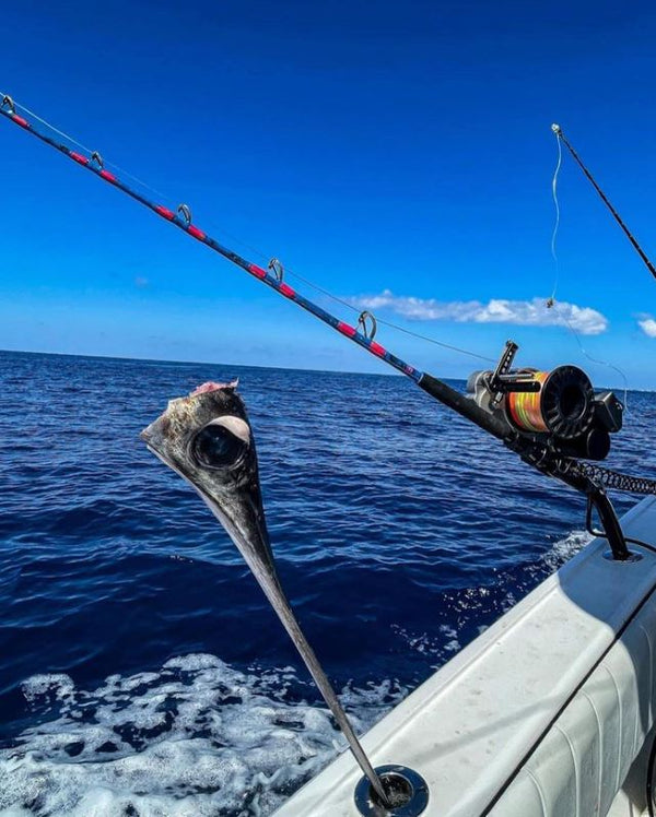 Saltwater Fishing 101 – Tagged Coastal Fishing