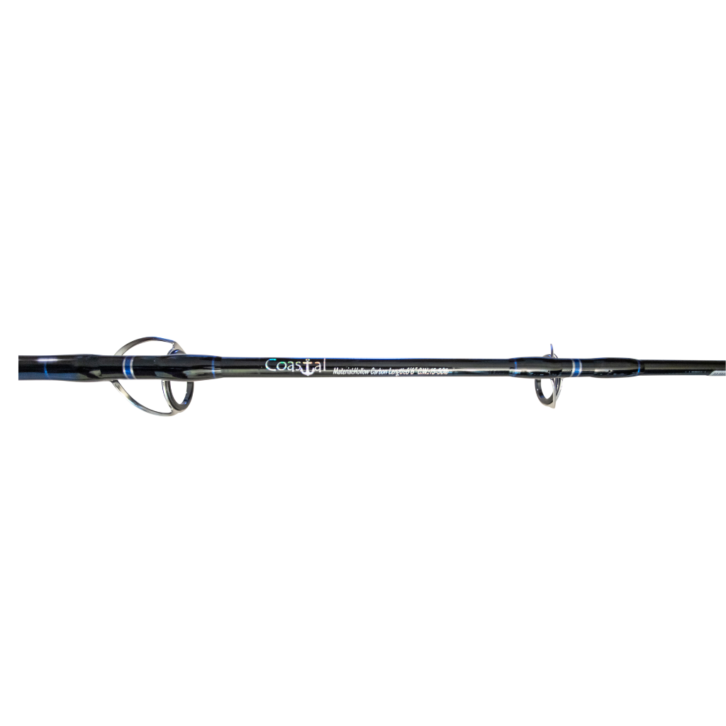 PAIR OF XCALIBER MARINE SALTWATER RODS TURBO GUIDES 80-130 LB - AbuMaizar  Dental Roots Clinic